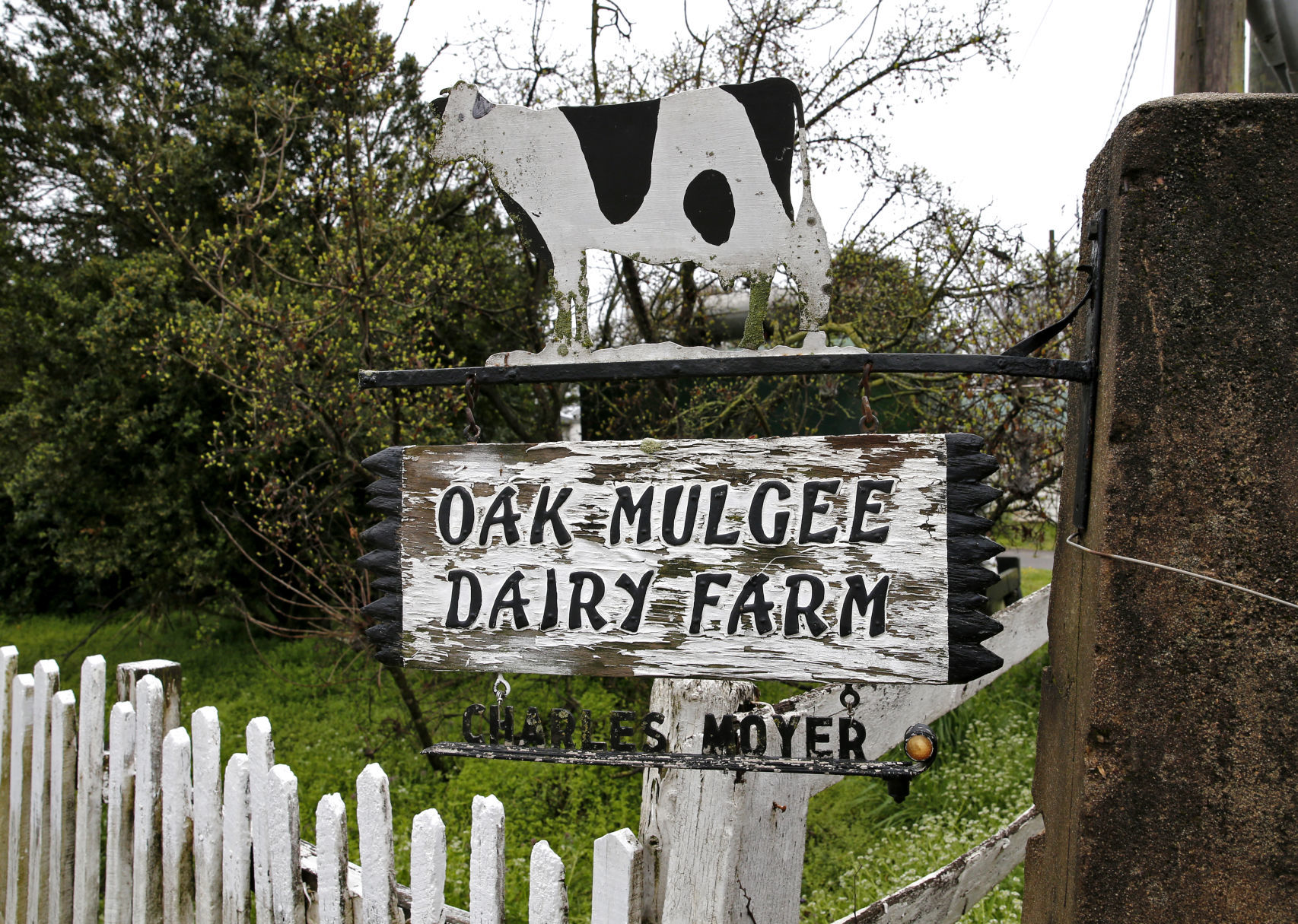 20200614_DISCO_DAIRY_MOYER_06